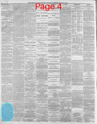 Page thumbnail for The Wheeling Daily Intelligencer