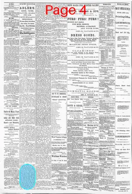 Page thumbnail for The Wheeling Daily Intelligencer