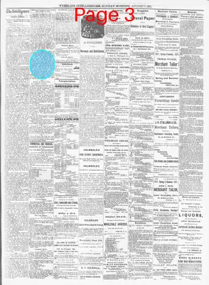 Page thumbnail for The Wheeling Daily Intelligencer