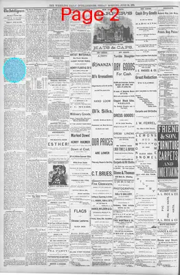 Page thumbnail for The Wheeling Daily Intelligencer