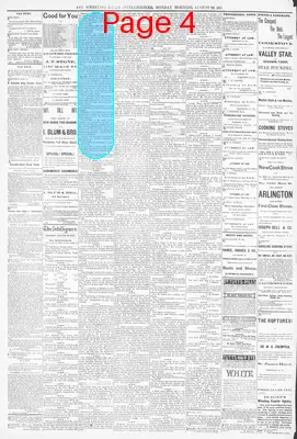 Page thumbnail for The Wheeling Daily Intelligencer