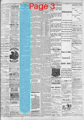 Page thumbnail for The Wheeling Daily Intelligencer