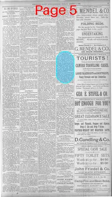 Page thumbnail for The Wheeling Daily Intelligencer
