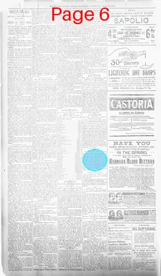 Page thumbnail for The Wheeling Daily Intelligencer