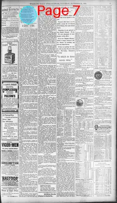 Page thumbnail for The Wheeling Daily Intelligencer