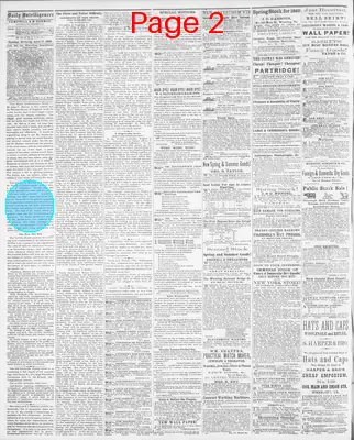 Page thumbnail for Daily Intelligencer