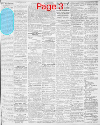 Page thumbnail for Daily Intelligencer