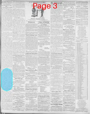 Page thumbnail for Daily Intelligencer