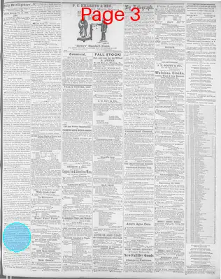 Page thumbnail for Daily Intelligencer