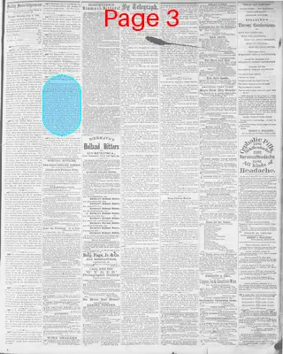 Page thumbnail for Daily Intelligencer
