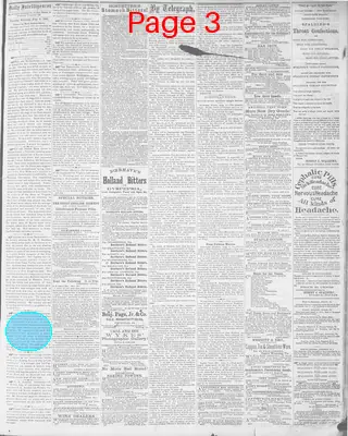 Page thumbnail for Daily Intelligencer