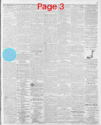 Page thumbnail for Daily Intelligencer