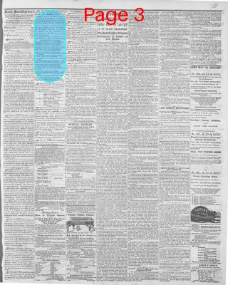 Page thumbnail for Daily Intelligencer