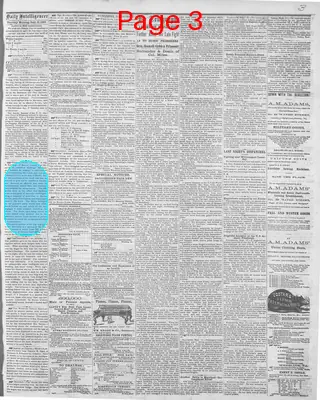 Page thumbnail for Daily Intelligencer