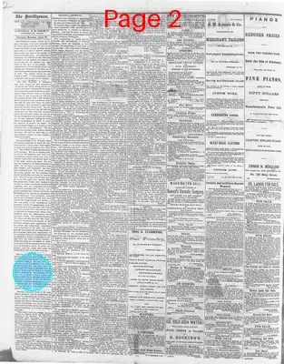 Page thumbnail for Daily Intelligencer