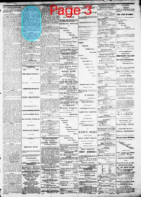 Page thumbnail for The Wheeling Daily Register