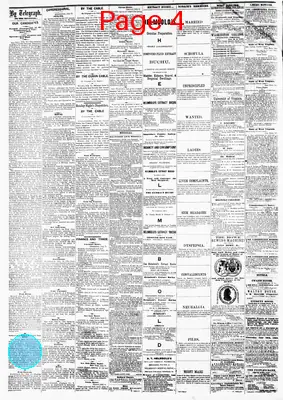 Page thumbnail for The Wheeling Daily Register