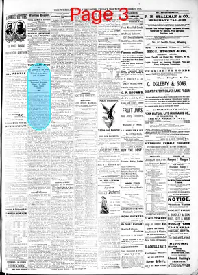 Page thumbnail for The Wheeling Daily Register