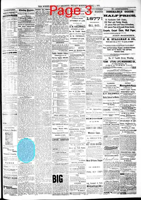 Page thumbnail for The Wheeling Daily Register