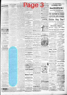 Page thumbnail for The Wheeling Daily Register