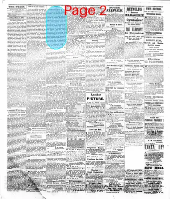 Page thumbnail for The Abbeville Press And Banner