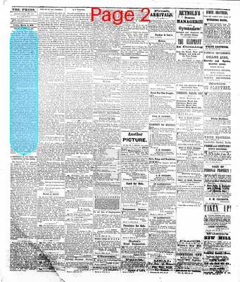 Page thumbnail for The Abbeville Press And Banner