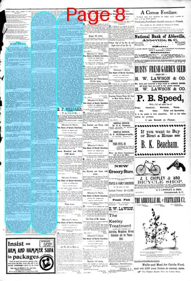 Page thumbnail for The Abbeville Press And Banner