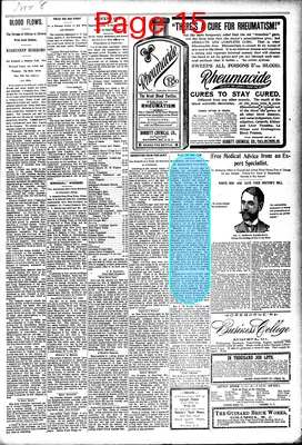 Page thumbnail for The Abbeville Press And Banner