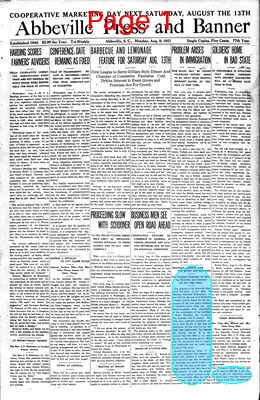 Page thumbnail for The Abbeville Press And Banner