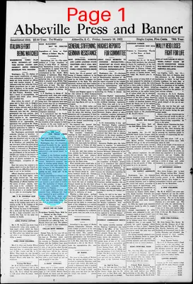 Page thumbnail for The Abbeville Press And Banner