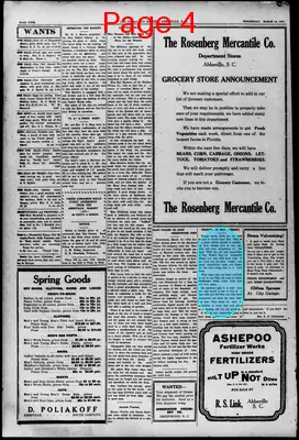 Page thumbnail for The Abbeville Press And Banner