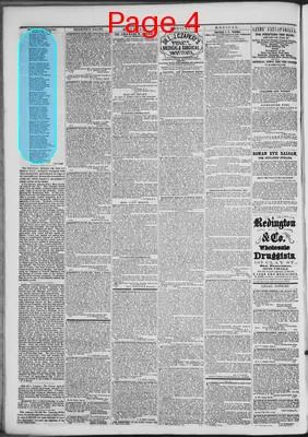 Page thumbnail for The Nevada Democrat