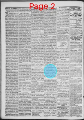 Page thumbnail for The Nevada Democrat