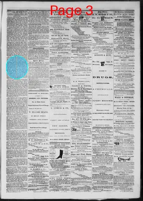 Page thumbnail for The Nevada Democrat