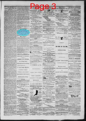 Page thumbnail for The Nevada Democrat