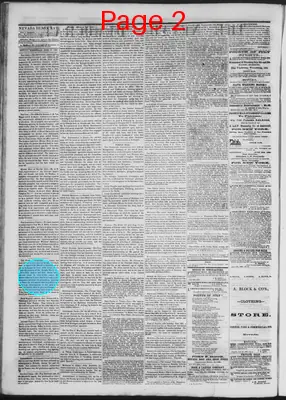 Page thumbnail for The Nevada Democrat
