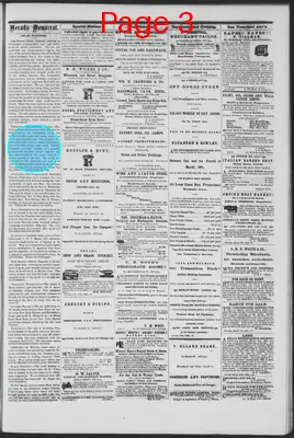 Page thumbnail for The Nevada Democrat