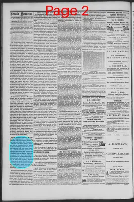 Page thumbnail for The Nevada Democrat