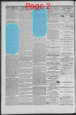 Page thumbnail for The Nevada Democrat