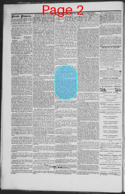Page thumbnail for The Nevada Democrat
