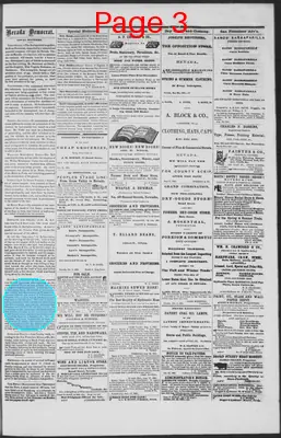 Page thumbnail for The Nevada Democrat
