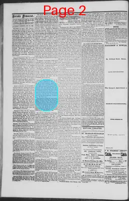 Page thumbnail for The Nevada Democrat