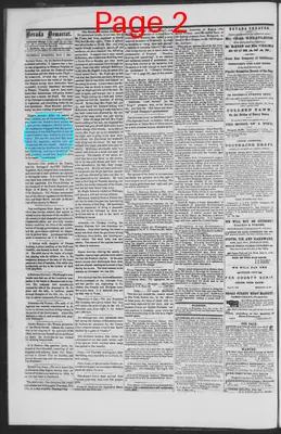 Page thumbnail for The Nevada Democrat