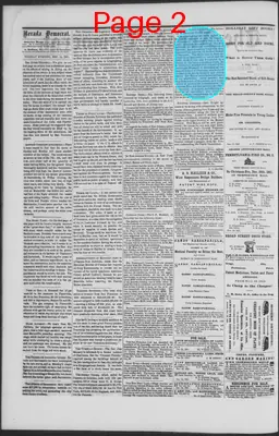 Page thumbnail for The Nevada Democrat