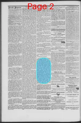 Page thumbnail for The Nevada Democrat