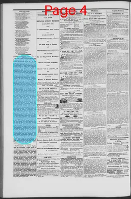Page thumbnail for The Nevada Democrat