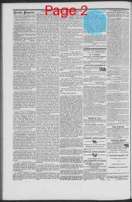 Page thumbnail for The Nevada Democrat