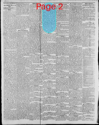 Page thumbnail for The Nevada Journal