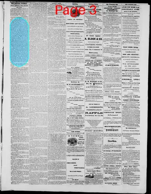 Page thumbnail for The Nevada Journal