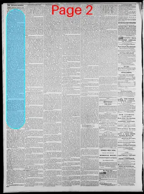 Page thumbnail for The Nevada Journal